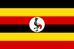 Ken Musitwa